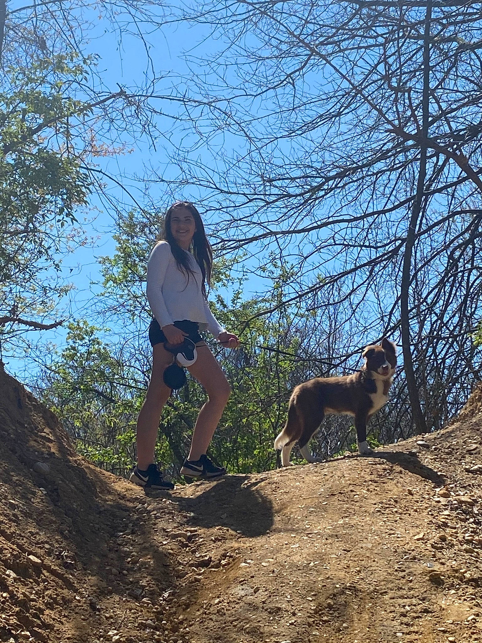 Blair joined the competition — help win amazing prizes! adventure, canidae, dog_hiking, dog_walking, fawn, hiking, hunting_dog, recreation, soil, trail, tree, walking