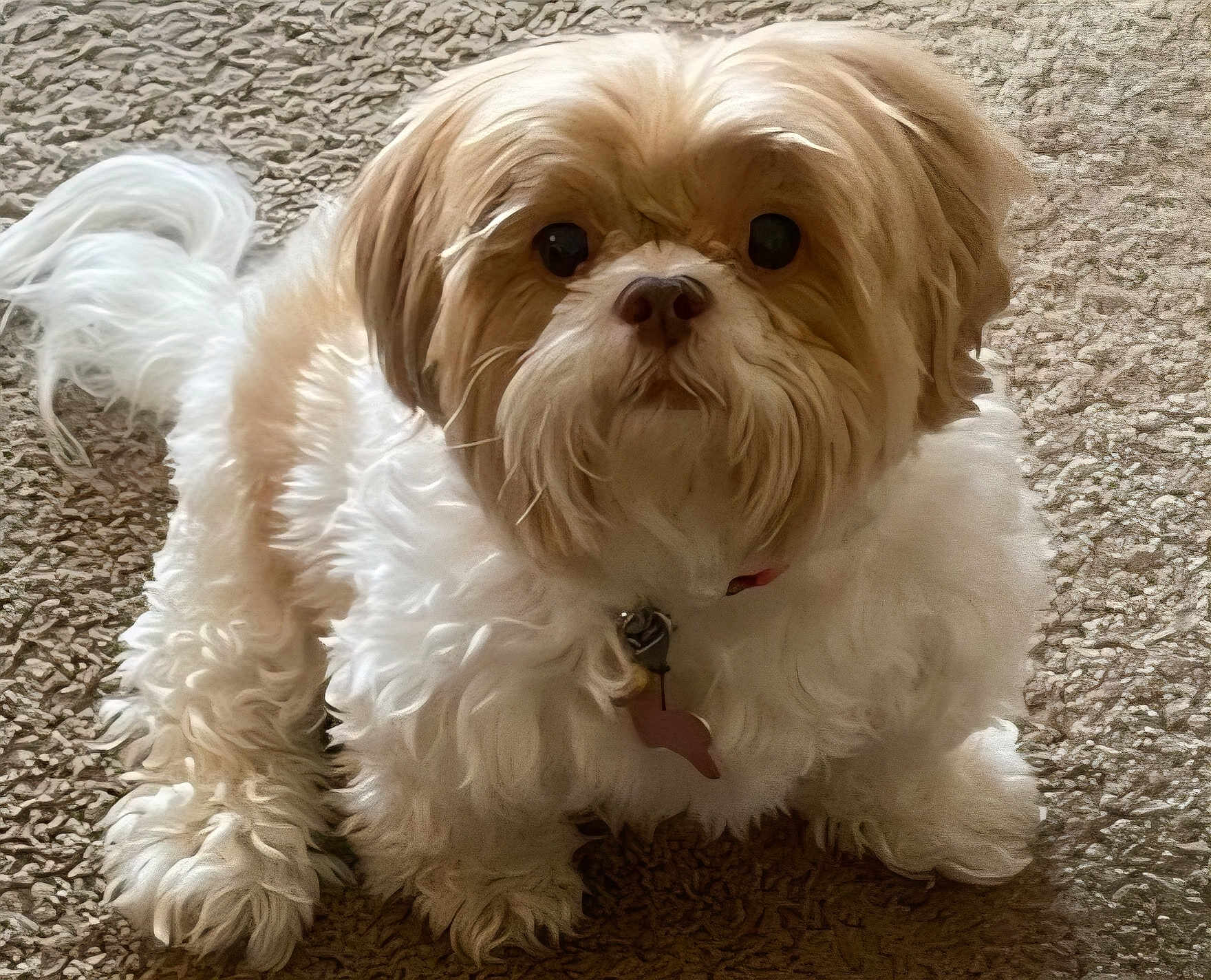 Milly
