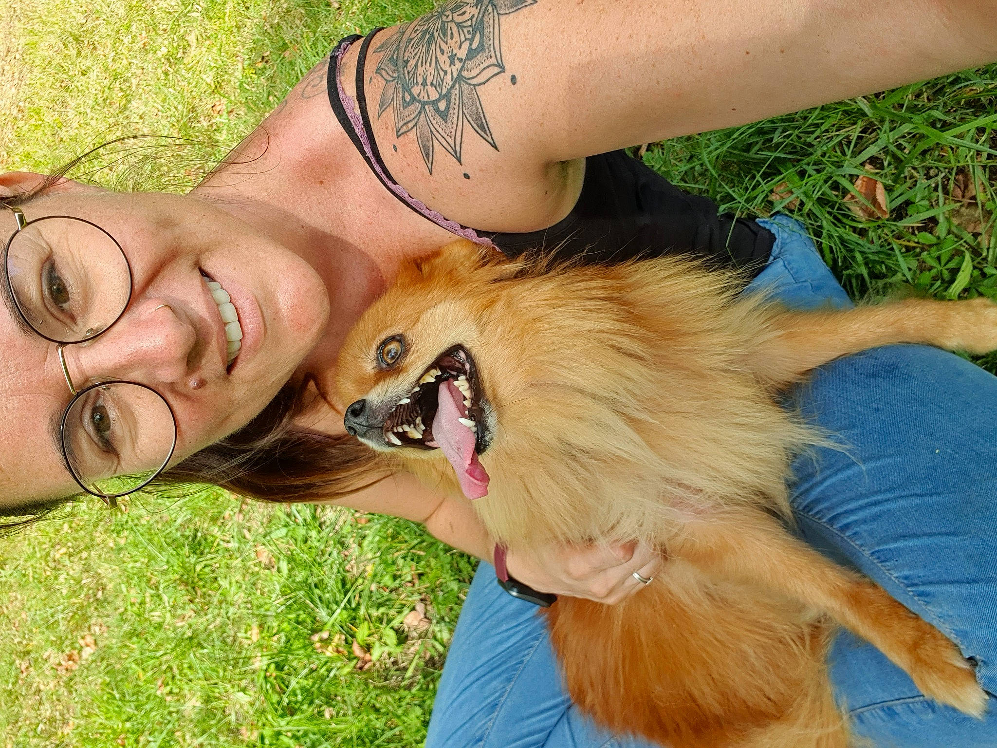 Sansha participe au concours pour gagner de l'argent avec cette photo : abdomen, brown_hair, carnivore, companion_dog, dog, dog_breed, eyewear, fawn, fur, grass, happy, human_leg, jewellery, people_in_nature, pomeranian, smile, spitz, sunglasses, tail, trunk