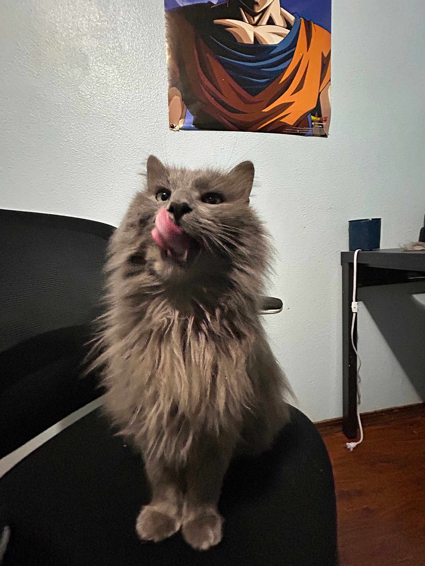 Fluff