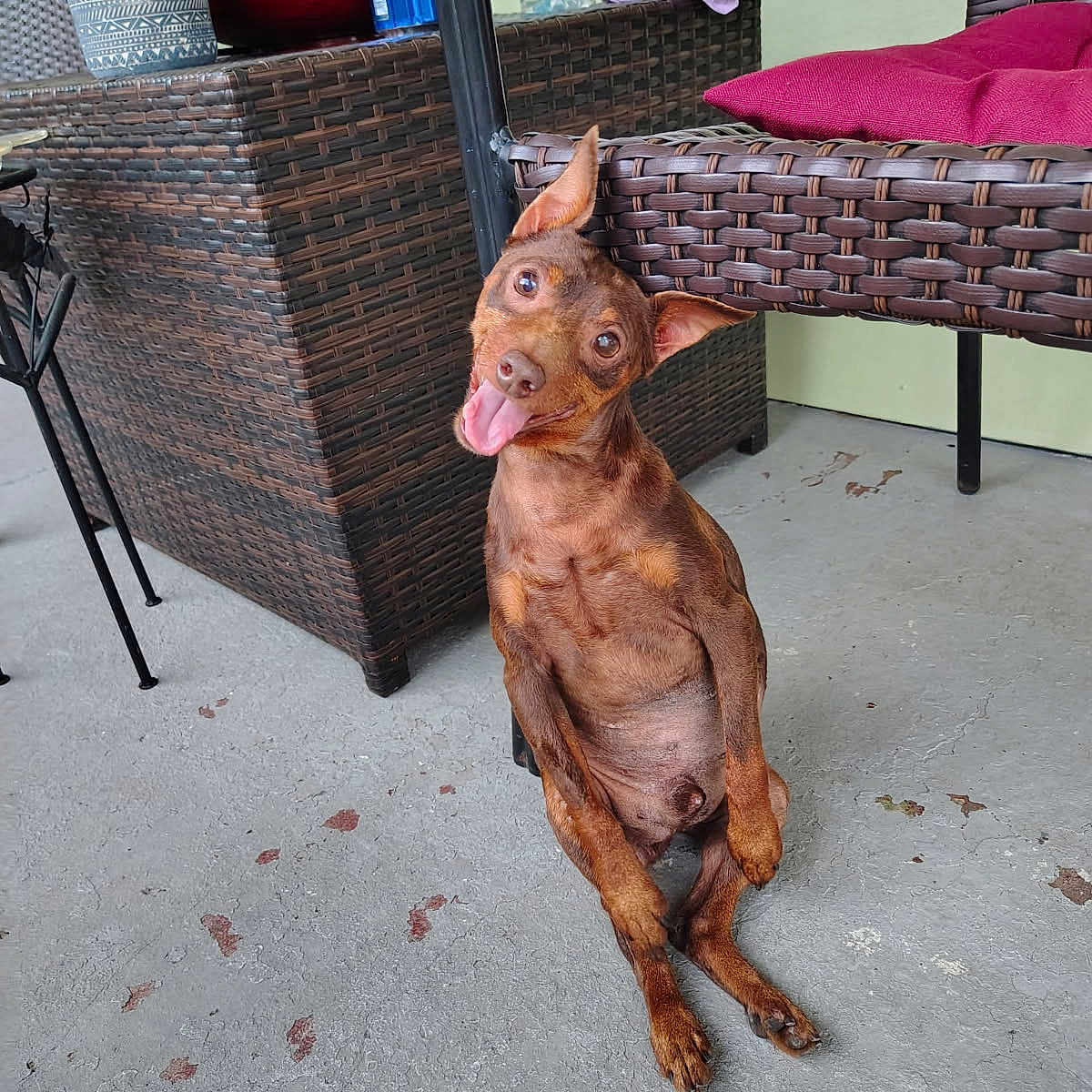 Coco