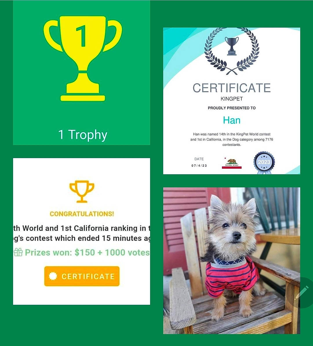 Han is registered to the contest to win money with this photo: advertising, brand, carnivore, companion_dog, felidae, font, gesture, graphic_design, graphics, green, logo, publication, sign, symbol