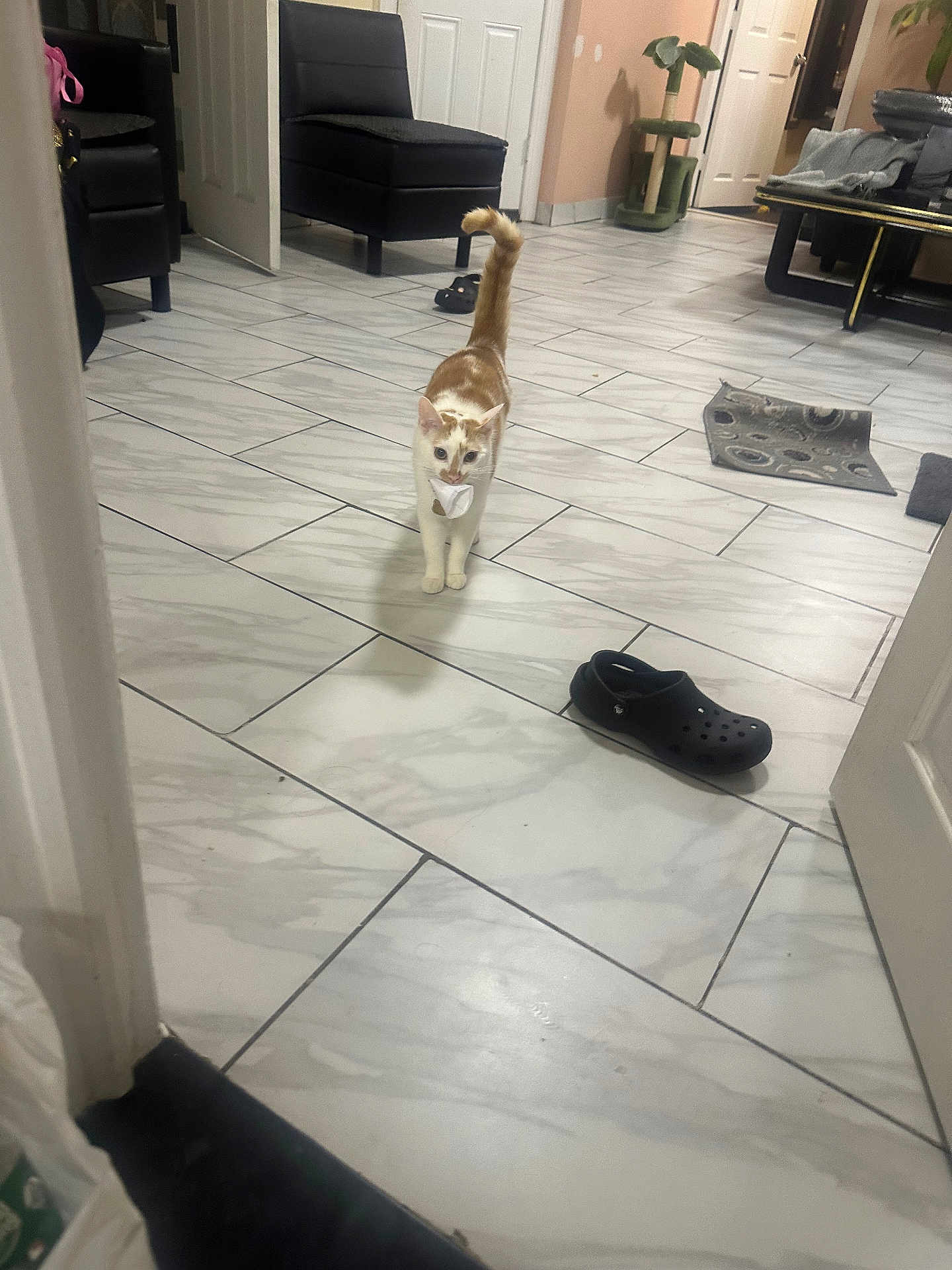 Leo