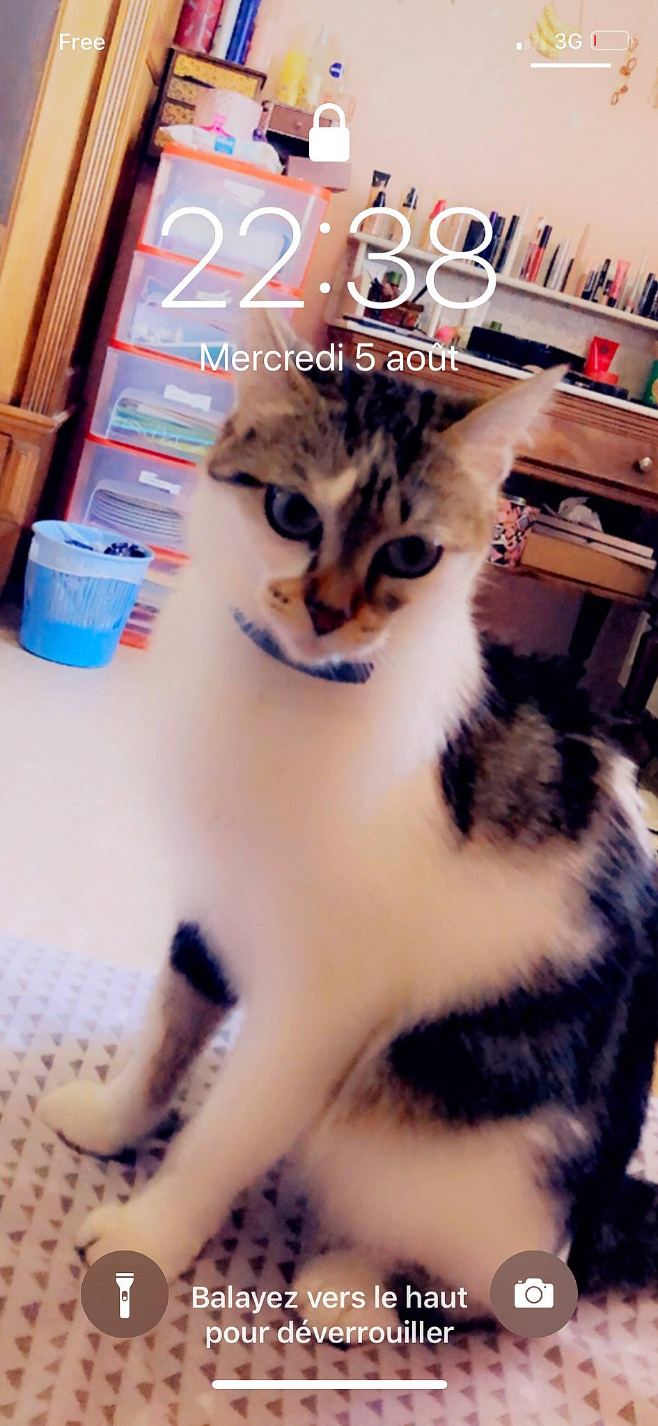 Frimousse