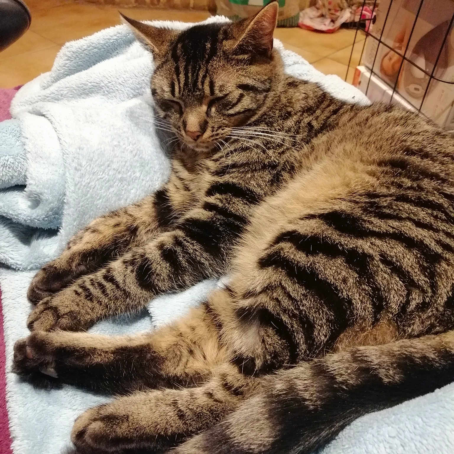 Félix.