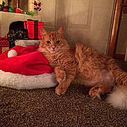 Grub is registered to the contest to win money with this photo: