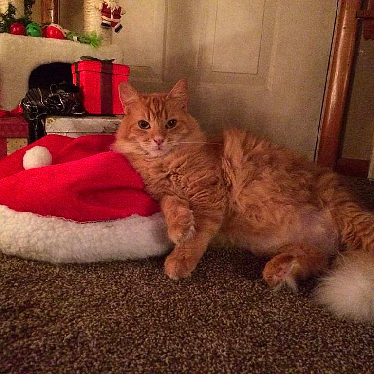 Grub is registered to the contest to win money with this photo: