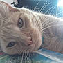 Happy participe au concours pour gagner de l'argent avec cette photo :