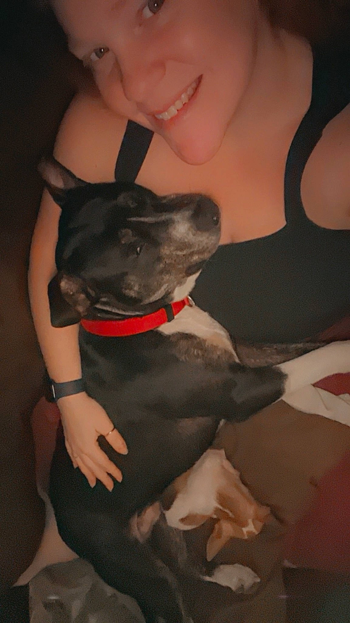 Thor joined the competition — help win amazing prizes! black, carnivore, companion_dog, dog, dog_breed, dog_collar, ear, fawn, flash_photography, gesture, human_leg, jaw, knee, nail, neck, snout, sporting_group, thigh, trunk, whiskers