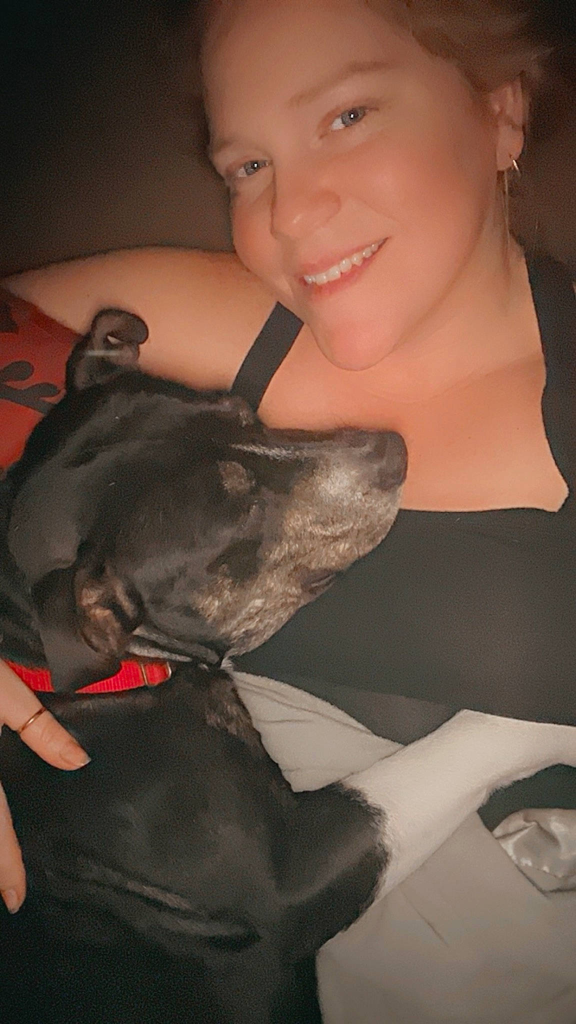 Thor is registered to the contest to win money with this photo: black_hair, carnivore, comfort, companion_dog, dog, dog_breed, ear, eyelash, fawn, flash_photography, formal_wear, gesture, happy, human_leg, jaw, smile, snout, sporting_group, toy_dog, whiskers