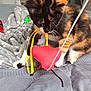 cat, kitten, calico, toy, red_toy, yellow_strings, bed, blanket, gray_bed, pet, feline, playing, curious, indoor, cozy, soft_blanket, whiskers, paws, young_cat, domestic_cat