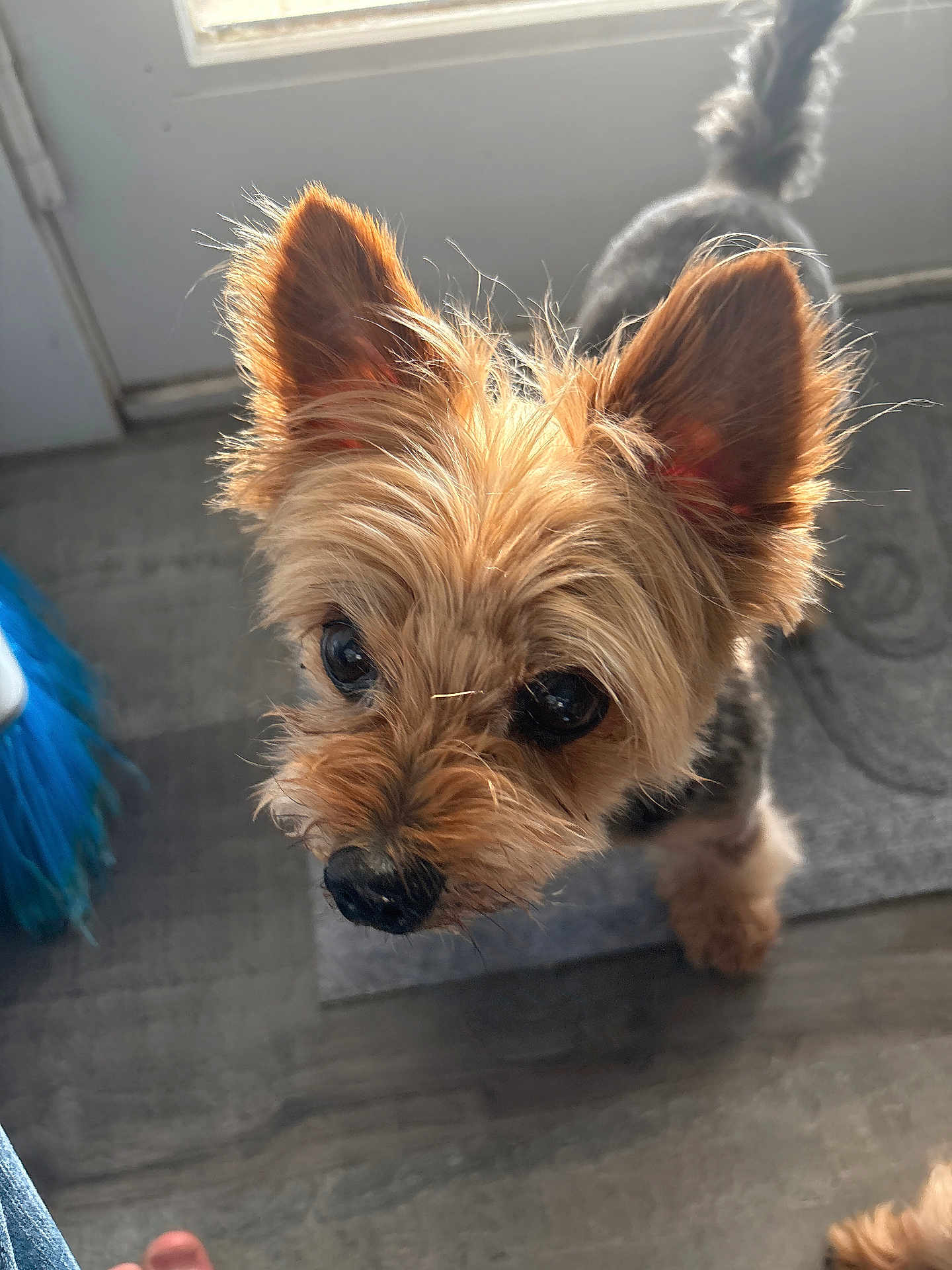 Turbo