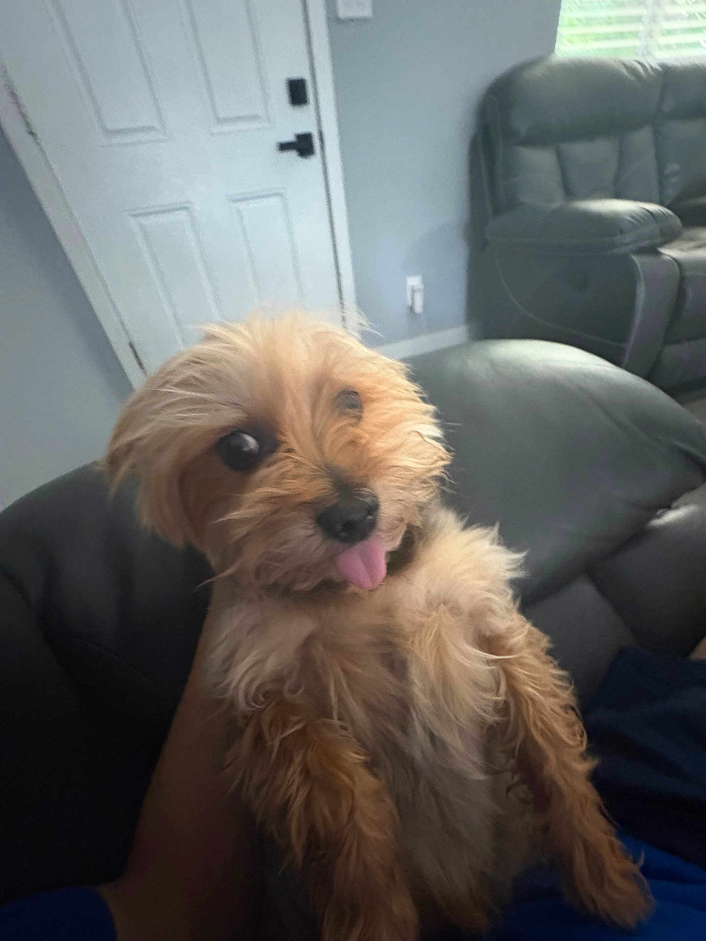Toto