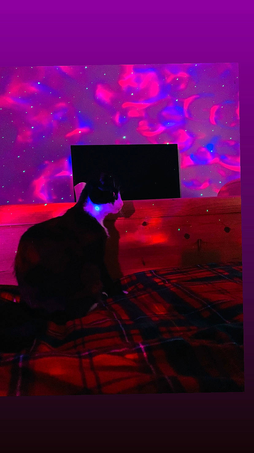 Luna Love is registered to the contest to win money with this photo: light, magenta, music, performance, performance_art, photography, pink, purple, room, stage, violet, visual_effect_lighting