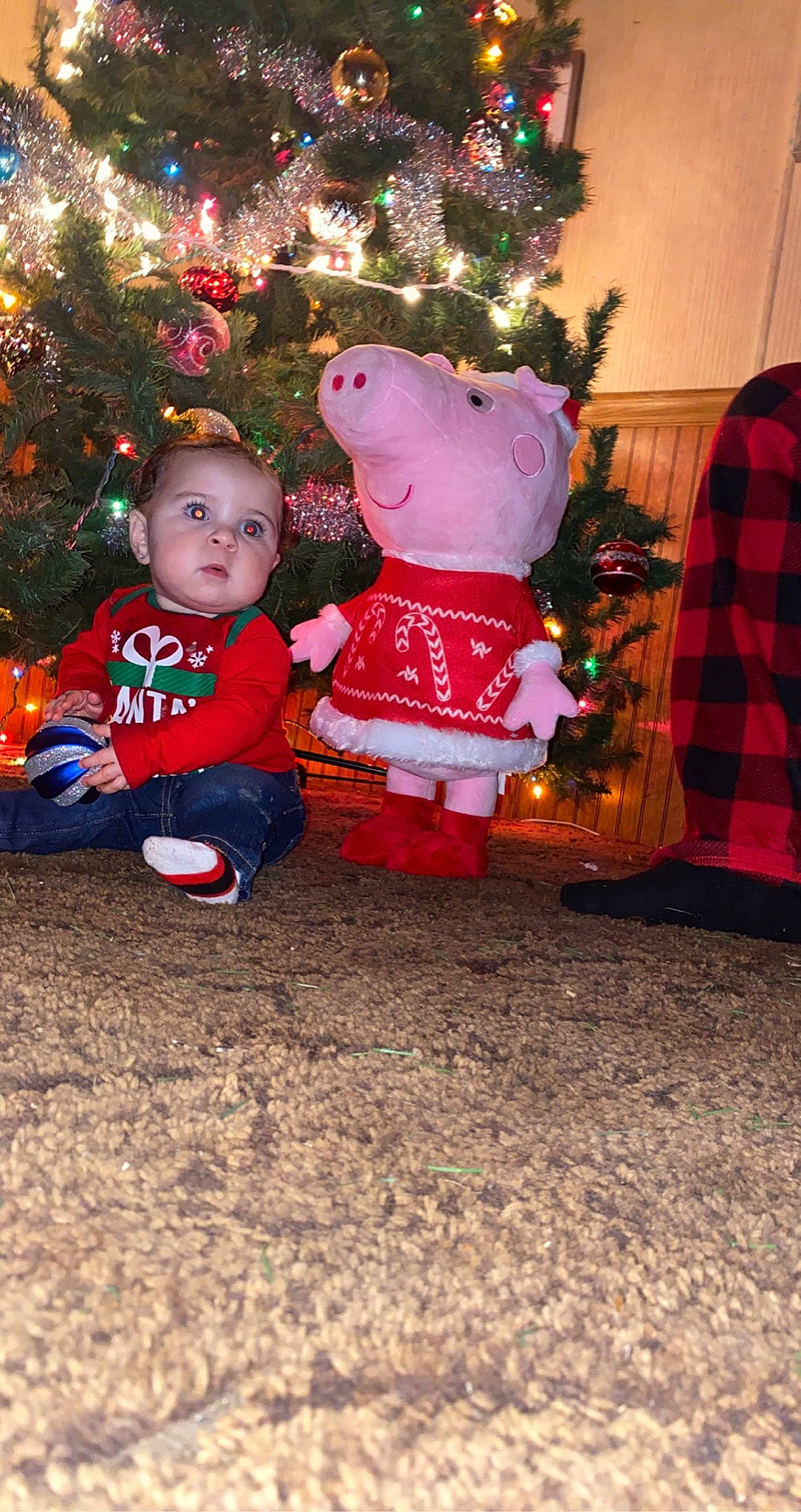 Grayson is registered to the contest to win money with this photo: baby_toddler_clothing, christmas, christmas_decoration, christmas_eve, christmas_ornament, christmas_tree, event, fun, happy, holiday, holiday_ornament, interior_design, light, ornament, people_in_nature, person, plaid, tartan, toddler, tradition
