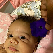 Jacie joined the competition — help win amazing prizes! baby, blue_eyes, child, closeup, curly_hair, cute, expression, face, flower, hand, heart_pattern, indoor, infant, person, pink_blanket, portrait, skin, sleeping_area, soft_lighting, tender_moment