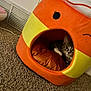 Luna is registered to the contest to win money with this photo: cat, kitten, pet_house, plush, orange, yellow, carpet, floor, wall_outlet, pillow, indoor, cozy, animal, cute, resting, curious, small, domestic, feline, home
