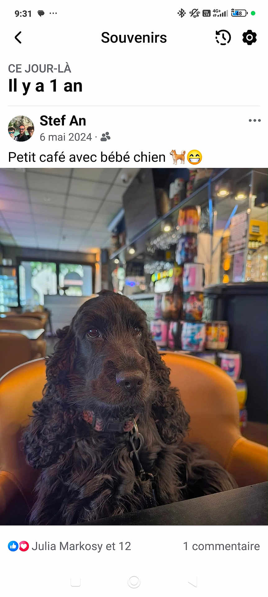 Stella