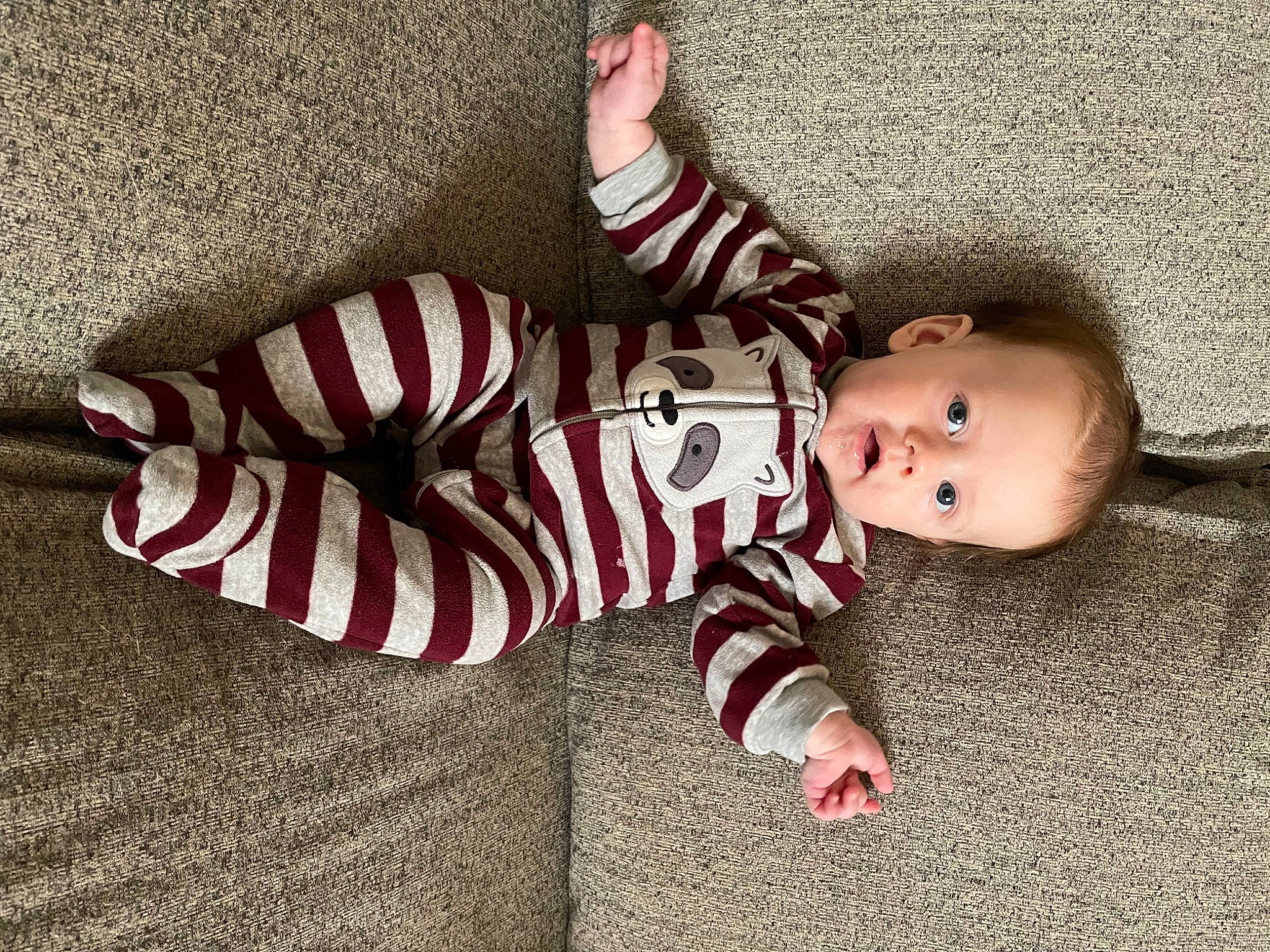 Laine joined the competition — help win amazing prizes! baby, baby_toddler_clothing, carmine, child, comfort, costume_hat, fawn, flooring, fur, grass, hat, human_body, linens, pattern, person, sleeve, sock, surprise, toddler, tree