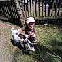 Maël a rejoint le concours — aidez-le/la à gagner de superbes lots ! animal, boy, brown_clothing, cap, child, daytime, farm, fence, goat, grass, grass_patch, happy, nature, netting, outdoor, petting, sticks, sunlight, wooden_fence, young