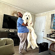 Frazier is registered to the contest to win money with this photo: carpet, carpeted_floor, casual_clothing, couch, decor, dog, door, furniture, happy, holding, indoor, joy, lamp, large_dog, living_room, man, pet, picture_frames, smiling, television
