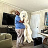 carpet, carpeted_floor, casual_clothing, couch, decor, dog, door, furniture, happy, holding, indoor, joy, lamp, large_dog, living_room, man, pet, picture_frames, smiling, television