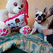 Princesse a rejoint le concours — aidez-le/la à gagner de superbes lots ! dog, french_bulldog, plush_toy, teddy_bear, pillow, blanket, person, hand, indoor, smiling_dog, tongue_out, cute, pet, animal, bed, colorful, cozy, affectionate, soft_toy, resting