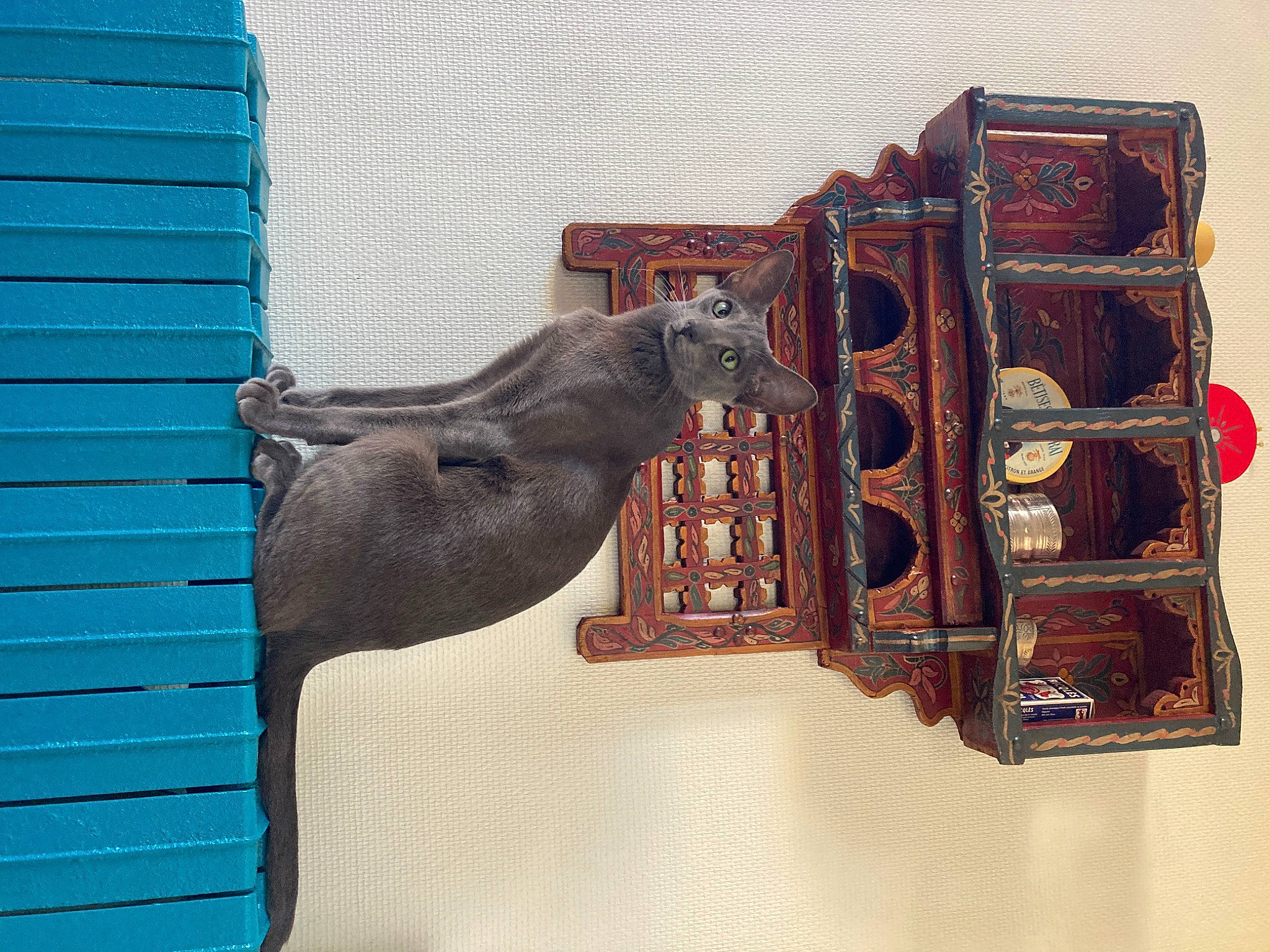 Mishka a rejoint le concours — aidez-le/la à gagner de superbes lots ! art, electric_blue, facade, horse, horse_supplies, liver, metal, pack_animal, pet_supply, rectangle, terrestrial_animal, visual_arts, wood, working_animal