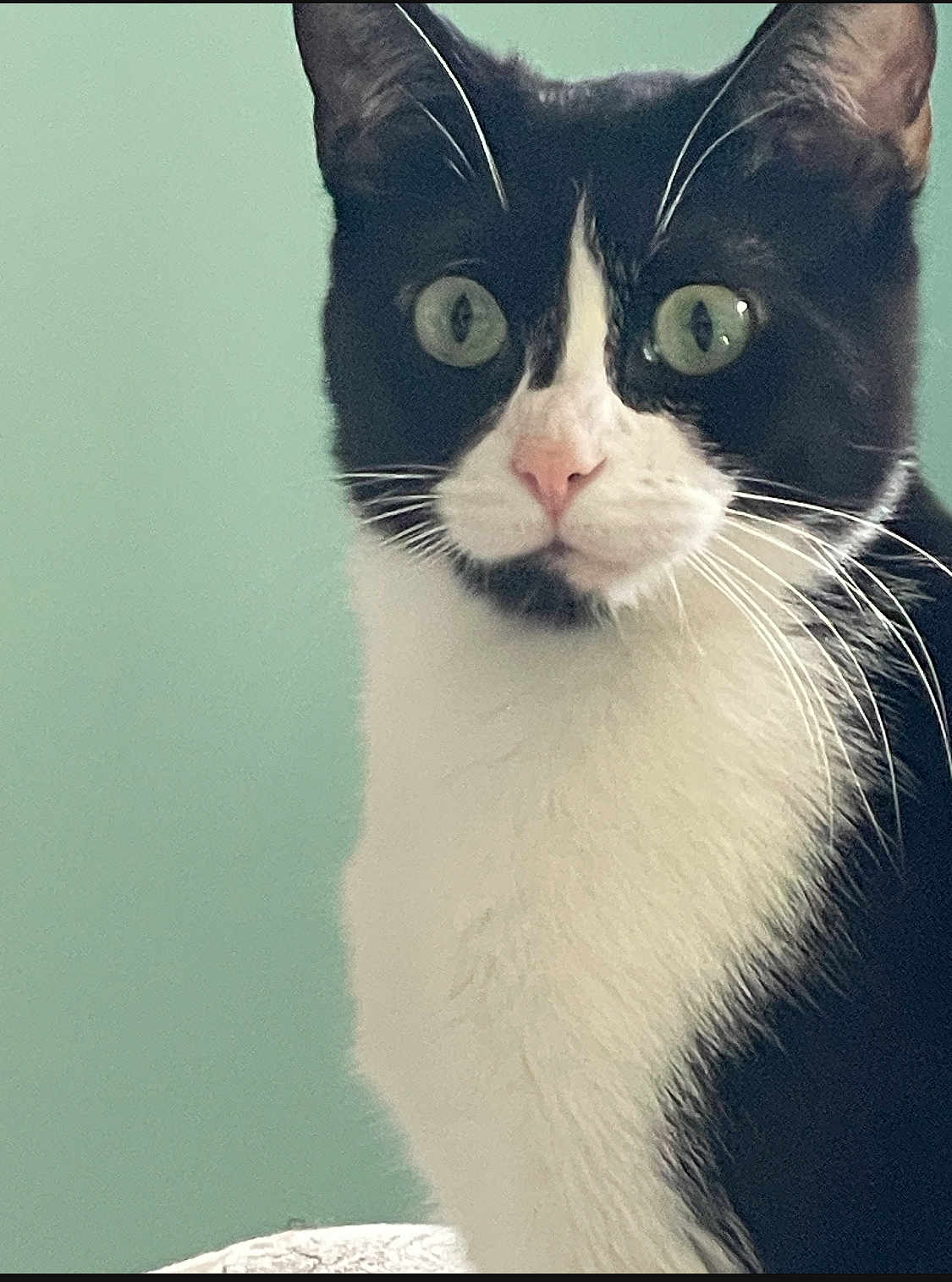 Juliet