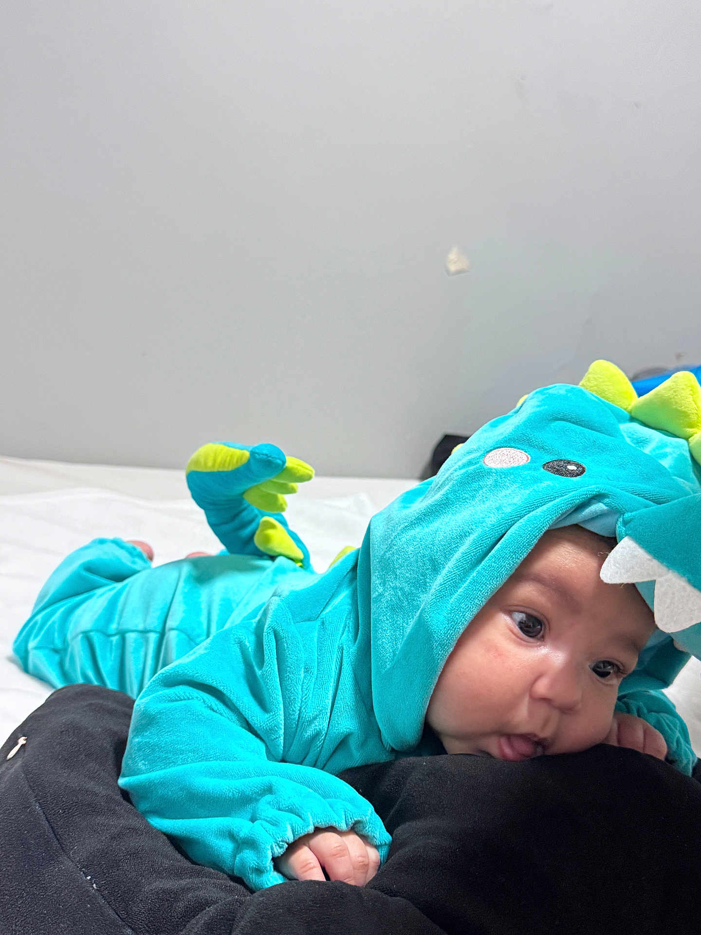 Cindy joined the competition — help win amazing prizes! baby, child, dinosaur_costume, onesie, blue, green, spikes, cute, infant, black_cushion, tongue_out, lying_down, indoor, soft_fabric, costume, face, hand, expression, wall, bed
