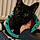 Toby