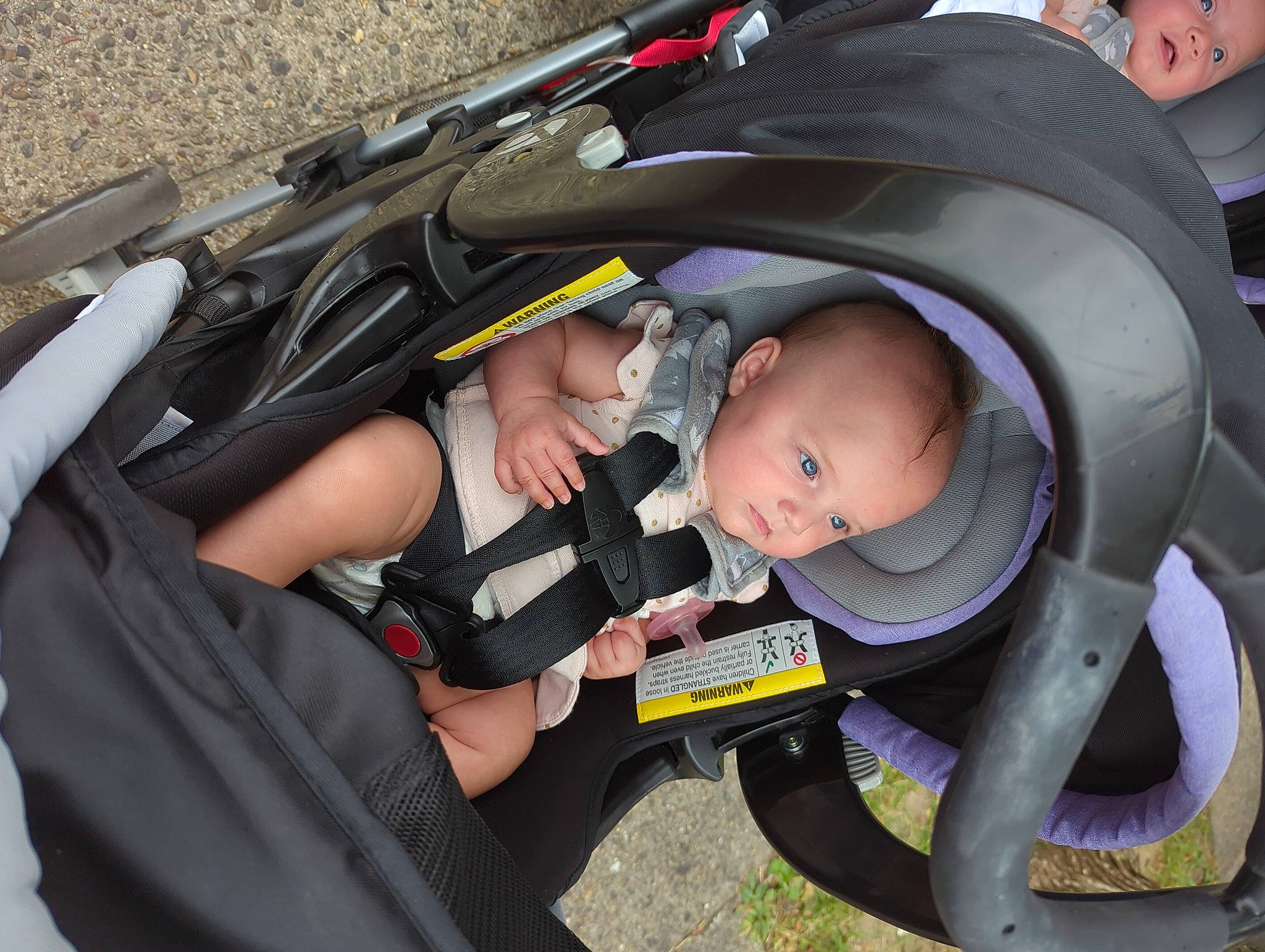 Sofia Sedona is registered to the contest to win money with this photo: auto_part, baby, baby_carriage, baby_products, bag, car_seat, child, comfort, fun, hat, luggage_and_bags, motor_vehicle, person, personal_protective_equipment, sitting, tire, toddler, vacation, watch, wheel