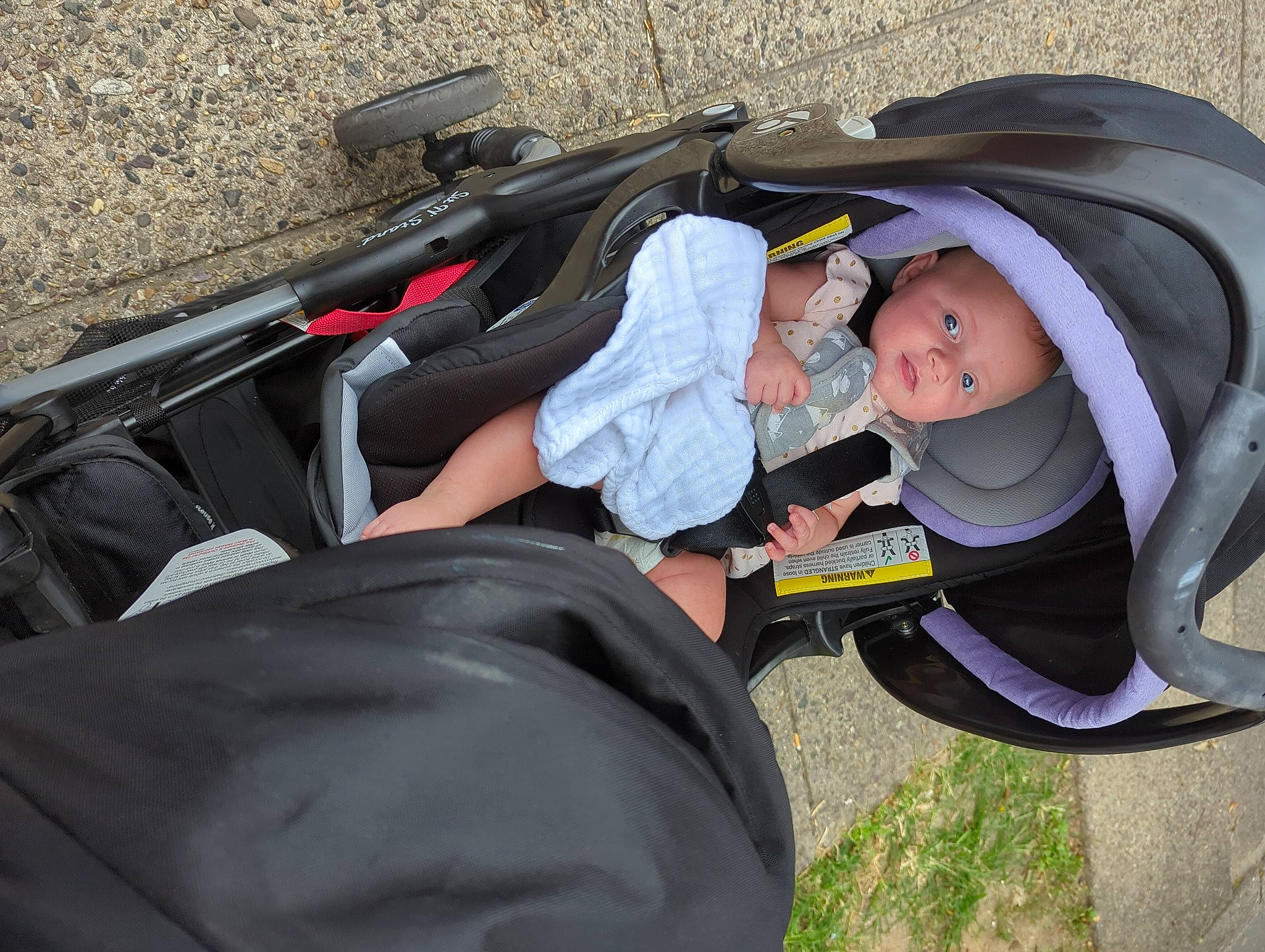 Sofia Sedona is registered to the contest to win money with this photo: auto_part, baby, baby_carriage, baby_products, baby_toddler_clothing, child, comfort, hat, lap, person, personal_protective_equipment, sitting, toddler