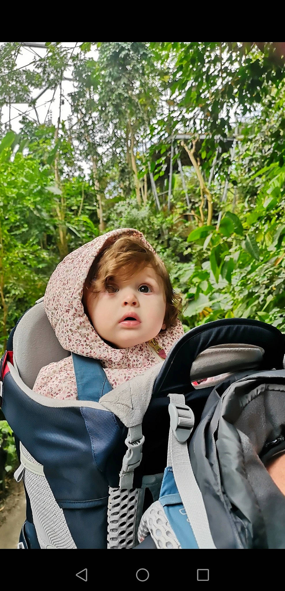 Loretta joined the competition — help win amazing prizes! baby, baby_products, baby_toddler_clothing, backpack, bag, child, forest, fun, grass, happy, jungle, leisure, luggage_and_bags, outerwear, people_in_nature, person, plant, recreation, sitting, toddler