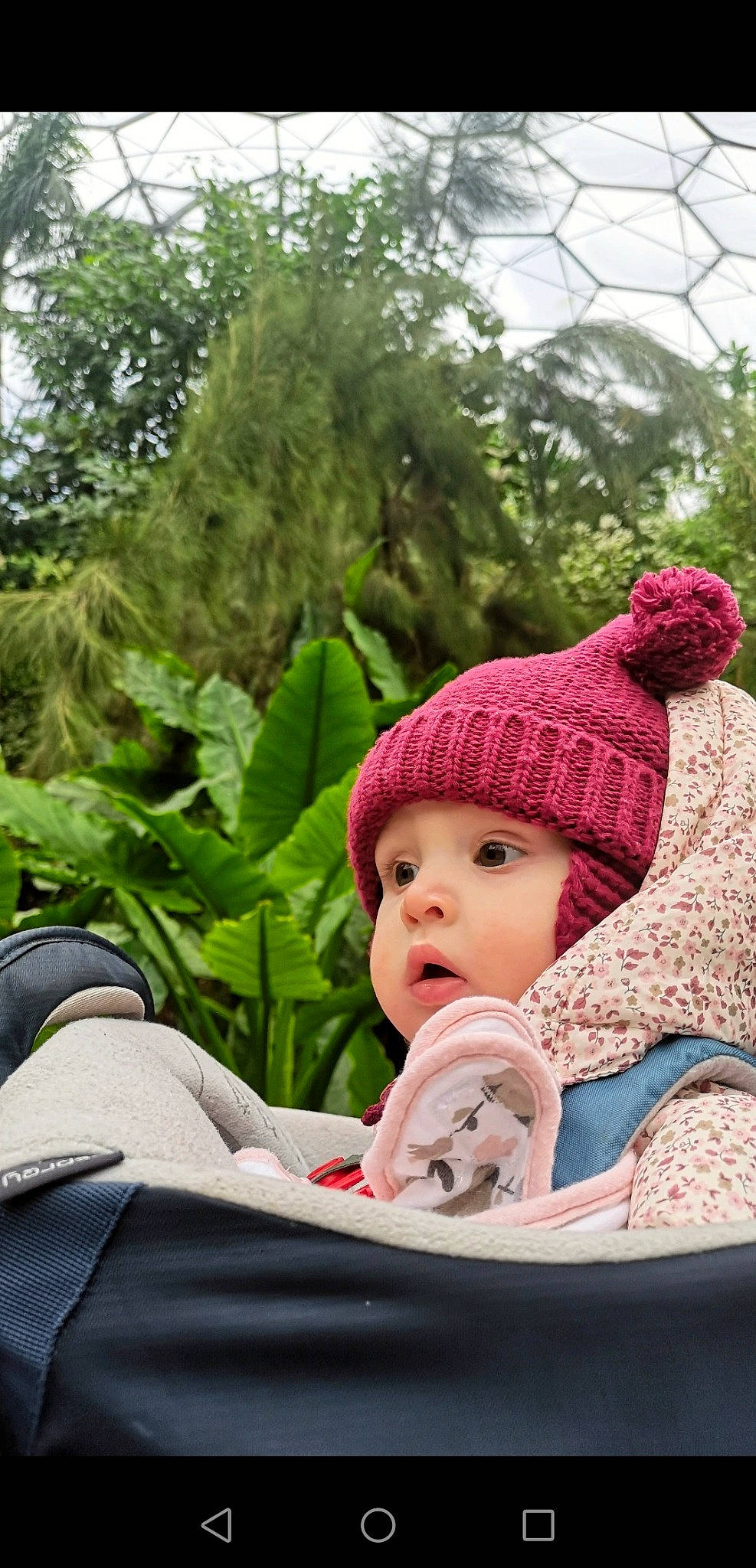 Loretta joined the competition — help win amazing prizes! baby, baby_toddler_clothing, cap, child, comfort, fun, grass, happy, headgear, headwear, human, knit_cap, leaf, leisure, outerwear, people_in_nature, person, plant, recreation, sitting