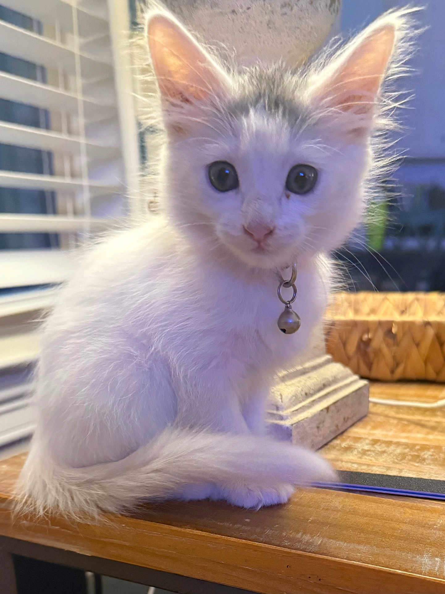 Ella