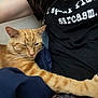 cat, orange_tabby, ginger_cat, paw, whiskers, pet, sleepy, lap, person, t_shirt, tattoo, arm, necklace, indoor, blanket, cuddling, fur, close_up, relaxed, home
