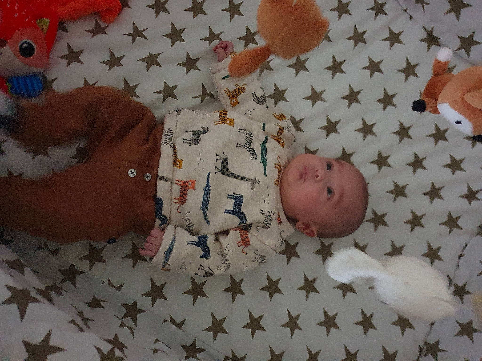 Ethan a rejoint le concours — aidez-le/la à gagner de superbes lots ! baby, baby_products, baby_toddler_clothing, baby_toys, brown, carmine, child, comfort, flooring, linens, nail, pattern, peach, person, pink, room, stuffed_toy, textile, toddler, toy