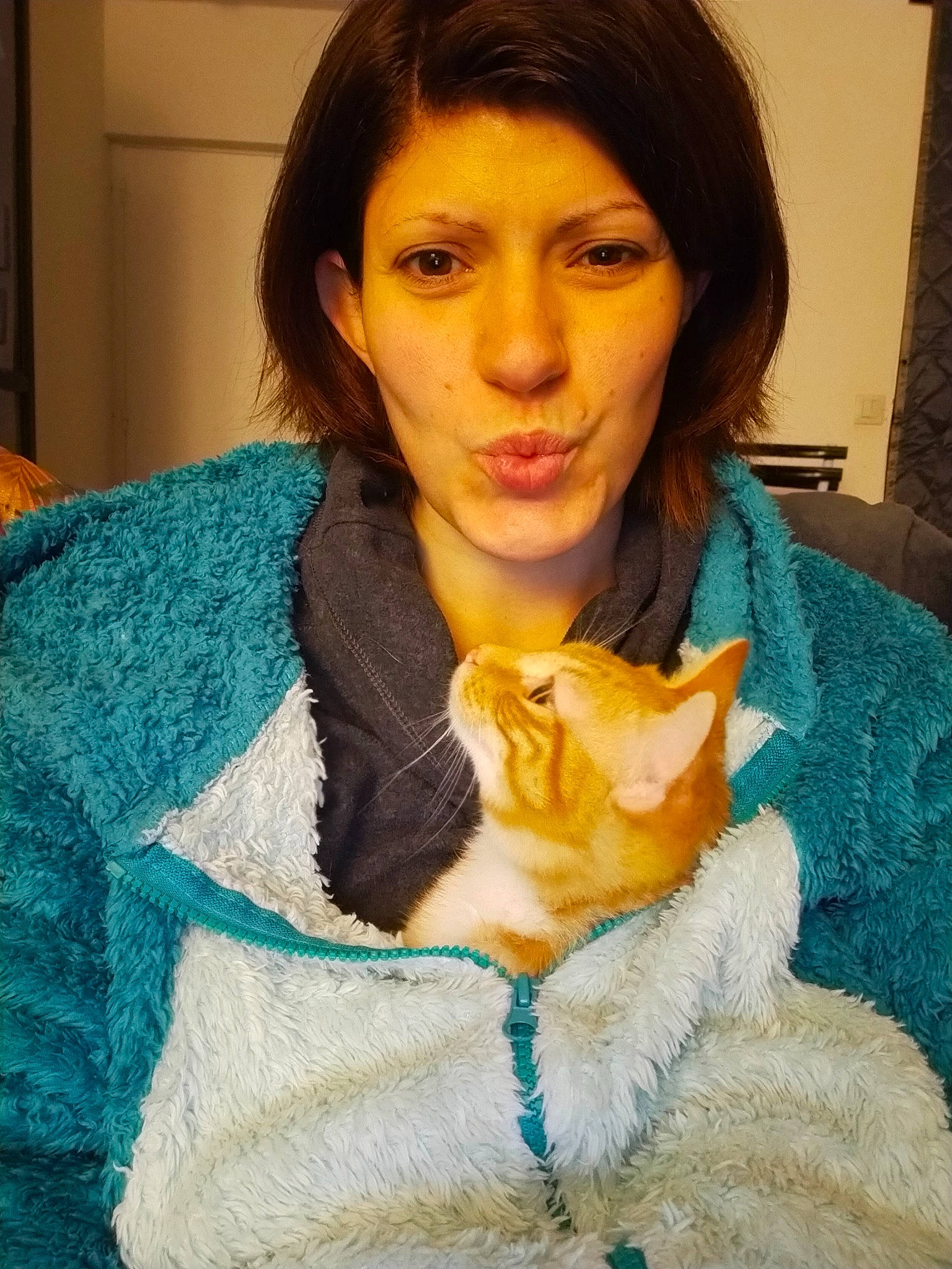 Daryl participe au concours pour gagner de l'argent avec cette photo : bangs, carnivore, cat, electric_blue, eye, eyelash, fawn, felidae, hair, head, iris, layered_hair, lip, neck, outerwear, shawl, shoulder, sleeve, small_to_medium_sized_cats, whiskers