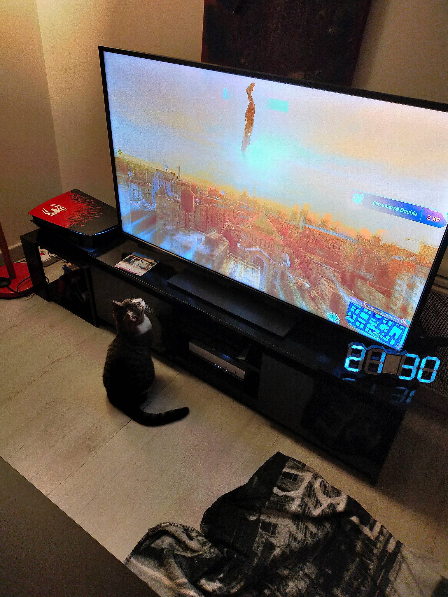 Talya a rejoint le concours — aidez-le/la à gagner de superbes lots ! carnivore, cat, computer, computer_hardware, computer_monitor_accessory, desk, desktop_computer, display_device, electronic_device, felidae, flat_panel_display, gadget, led_backlit_lcd_display, multimedia, output_device, personal_computer, small_to_medium_sized_cats, technology, television_set, wood