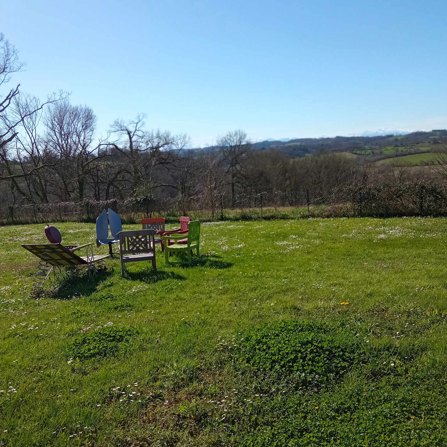 Minou a rejoint le concours — aidez-le/la à gagner de superbes lots ! field, forest, grass, grassland, hill, land_lot, landscape, lawn, meadow, natural_landscape, pasture, people_in_nature, plant, prairie, ranch, shrub, sky, soil, tree, woodland