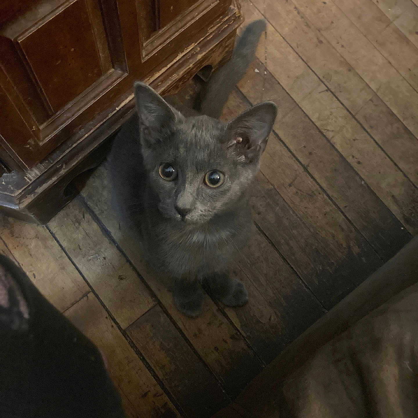 Smokey
