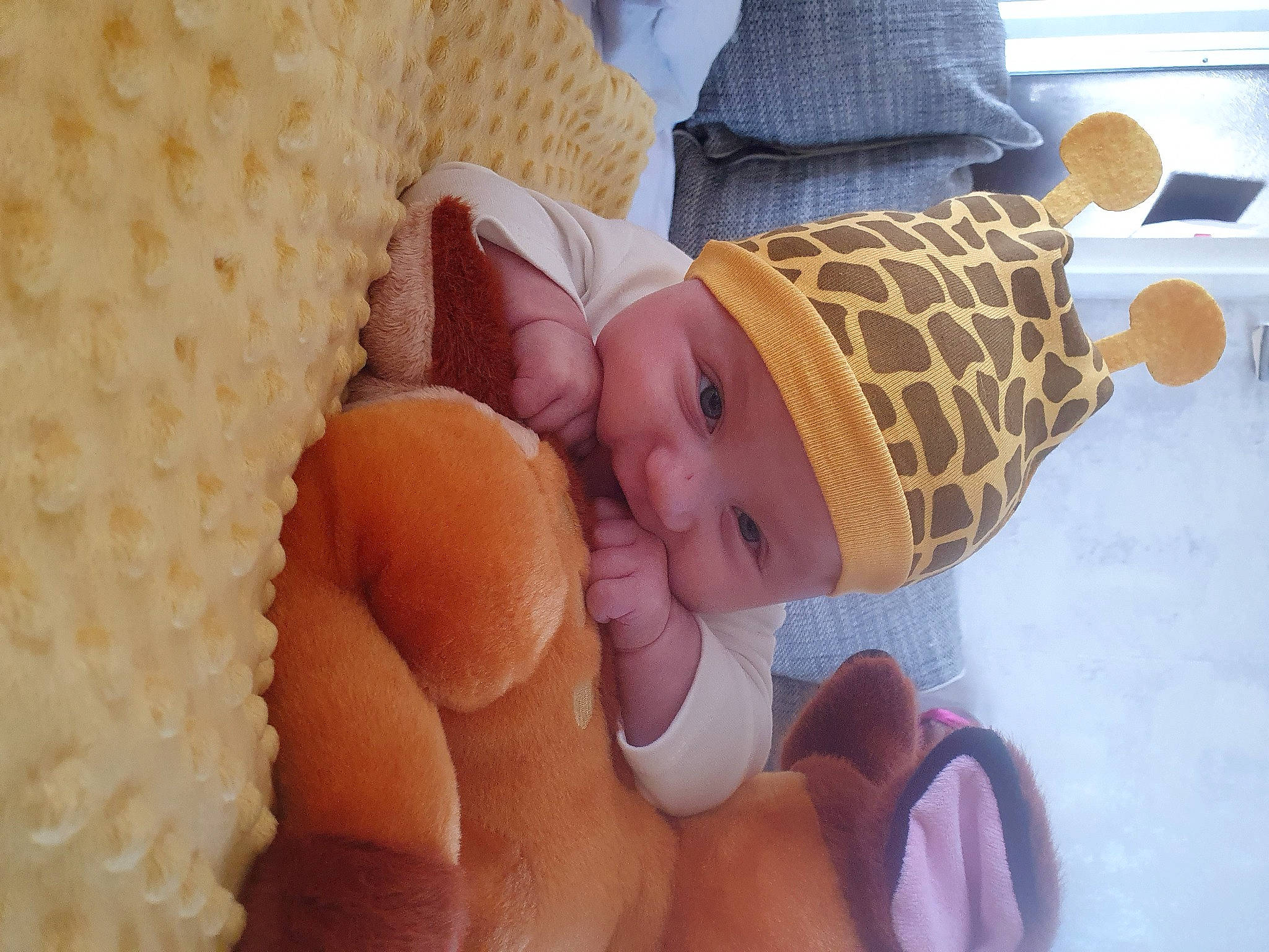 Noan a rejoint le concours — aidez-le/la à gagner de superbes lots ! baby, baby_products, baby_sleeping, baby_toddler_clothing, child, comfort, finger, hand, headgear, headwear, human_body, linens, person, room, skin, stuffed_toy, textile, thumb, toddler, toy