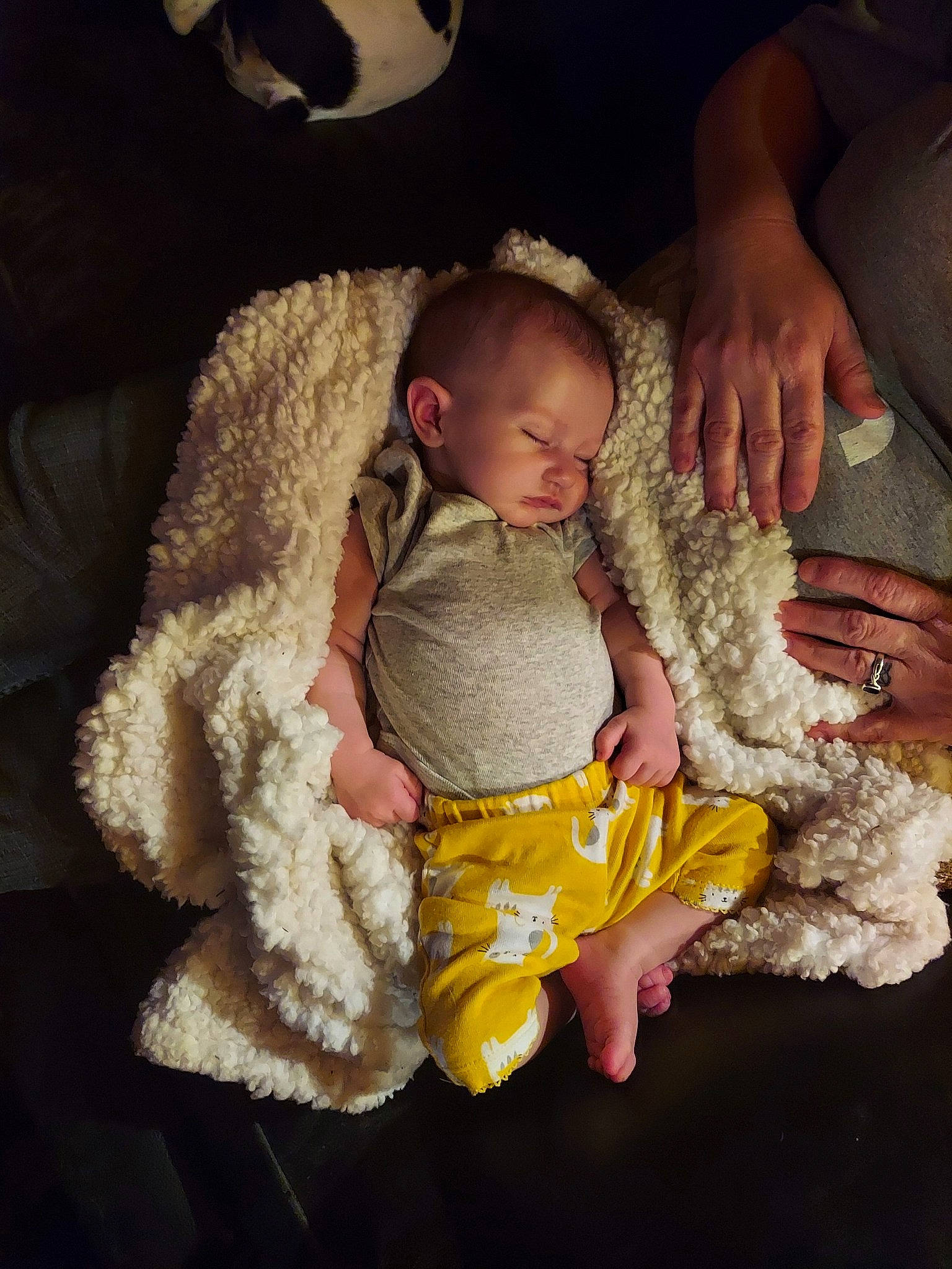 Rosalyn joined the competition — help win amazing prizes! baby, baby_toddler_clothing, child, comfort, couch, finger, fun, fur, hand, happy, human_body, lap, linens, person, sitting, skin, stuffed_toy, textile, toddler, trunk