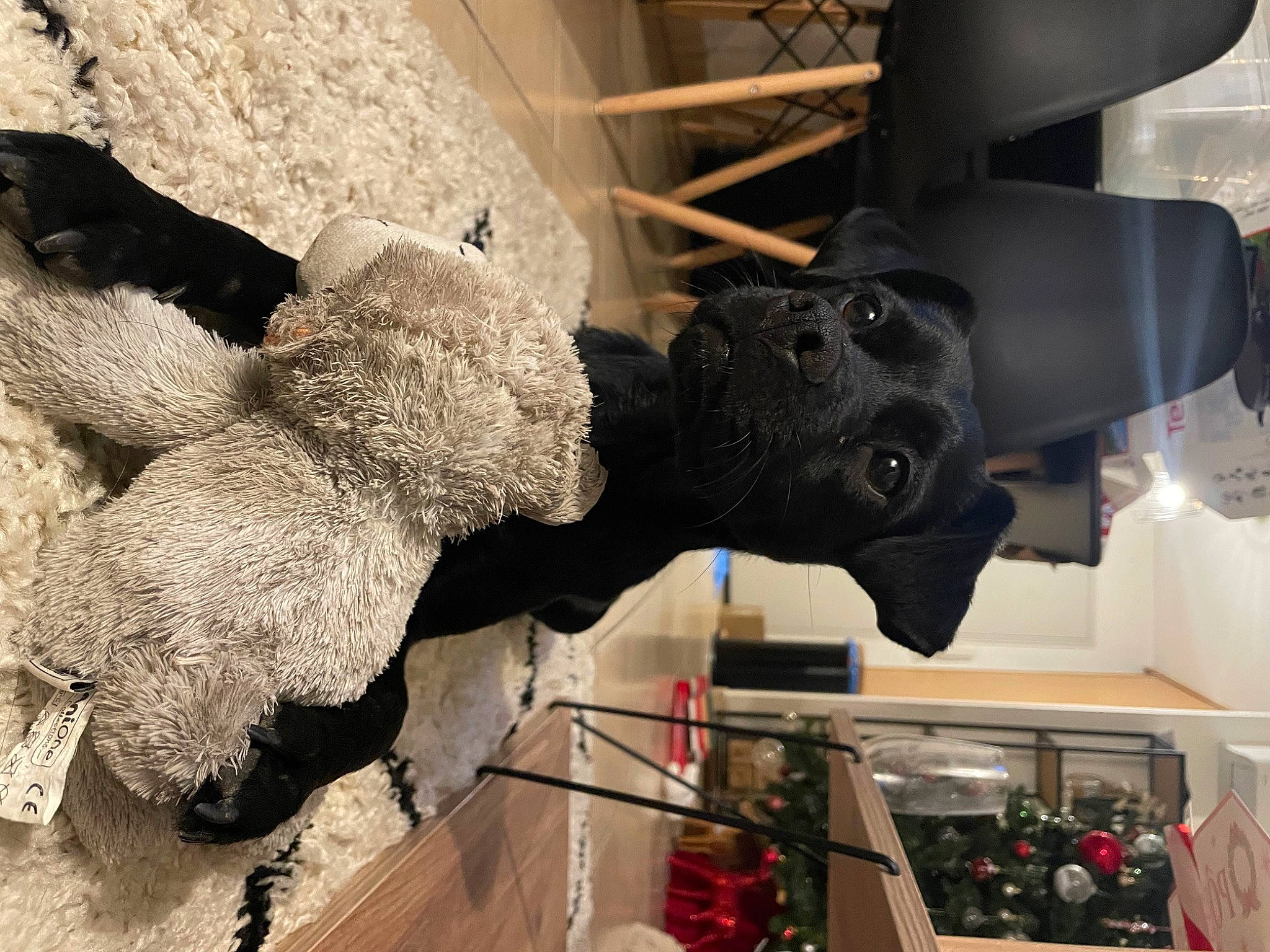 Melba participe au concours pour gagner de l'argent avec cette photo : art, auto_part, event, fur, guard_dog, machine, mammal, metal, room, sculpture, snout, sporting_group, tourist_attraction, wood, working_animal