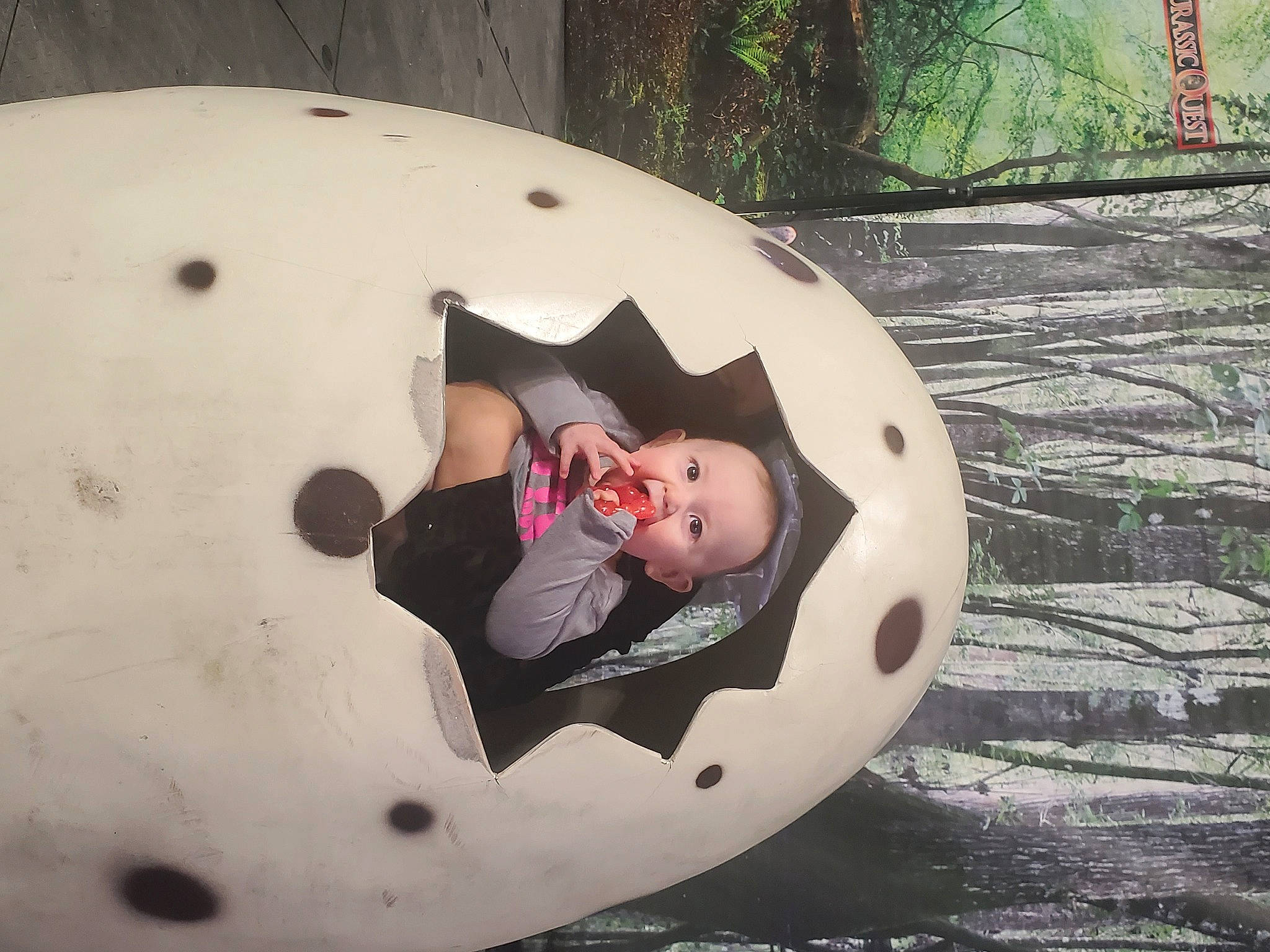 Annabelle joined the competition — help win amazing prizes! adventure, ball, bumper, carmine, circle, comfort, flash_photography, fun, grass, happy, inflatable, leisure, person, personal_protective_equipment, plant, play, recreation, rock, sitting, smile