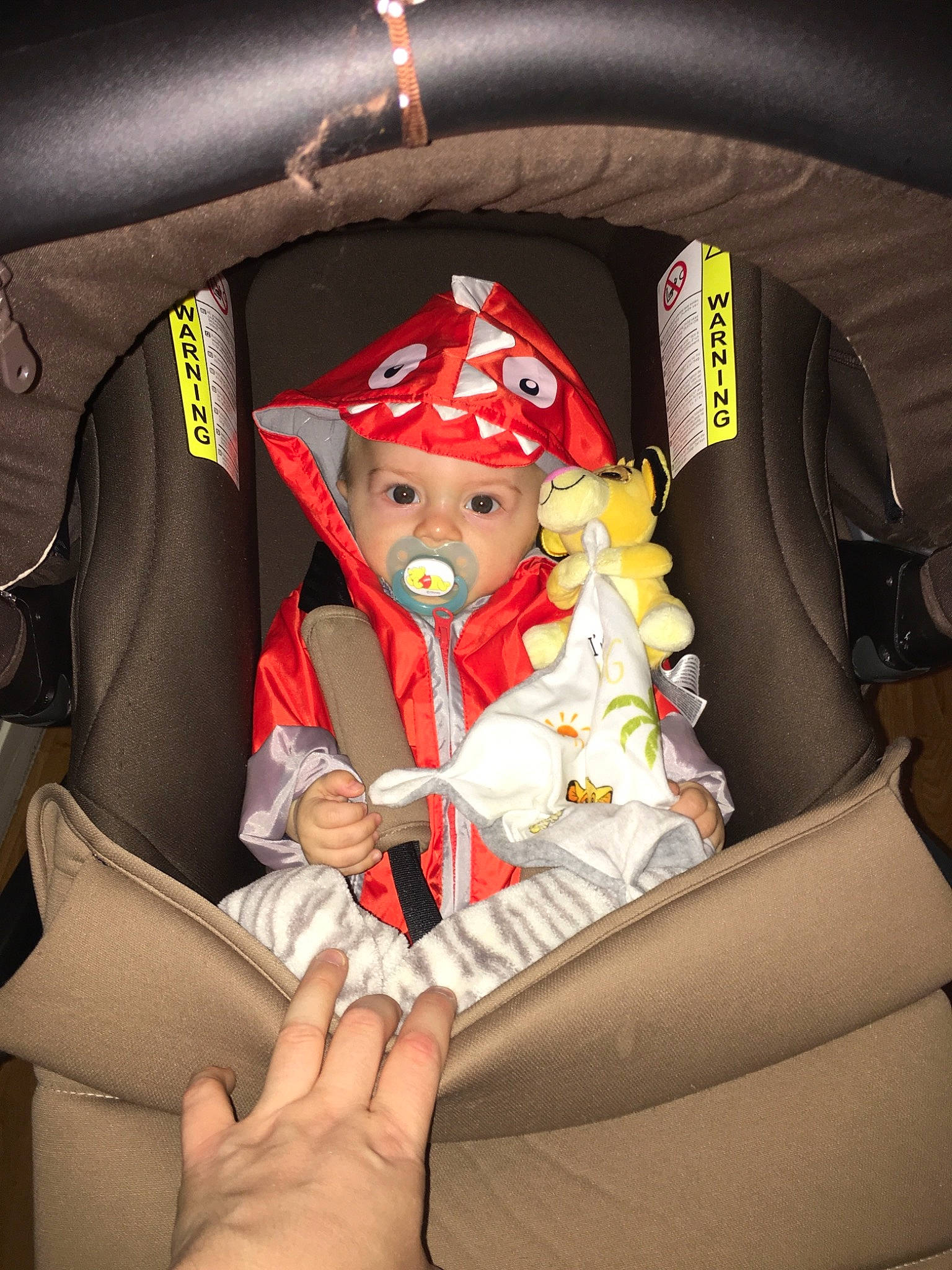 Ivan participe au concours pour gagner de l'argent avec cette photo : car_seat, child, headwear, person, product