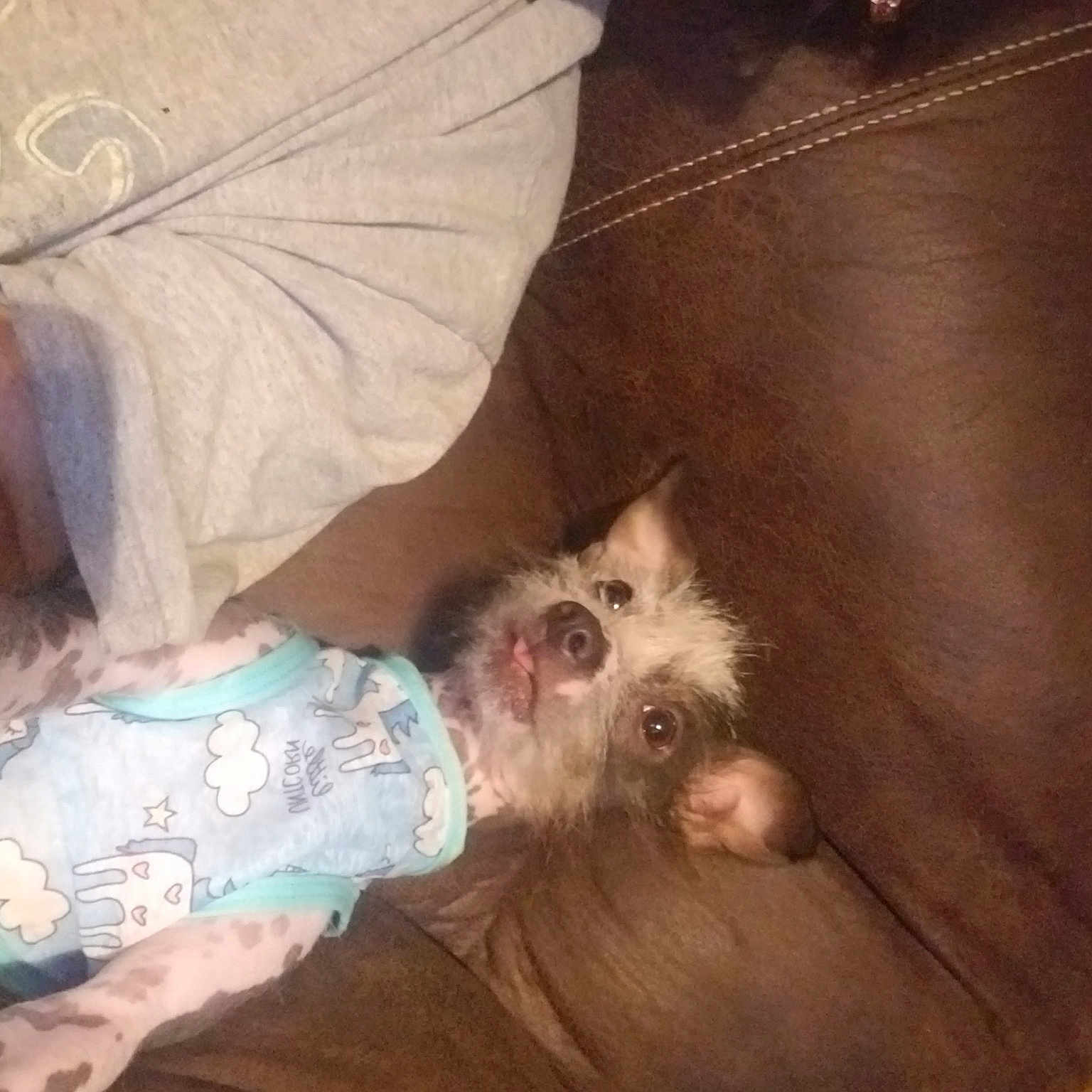 Bailey