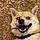 Volf