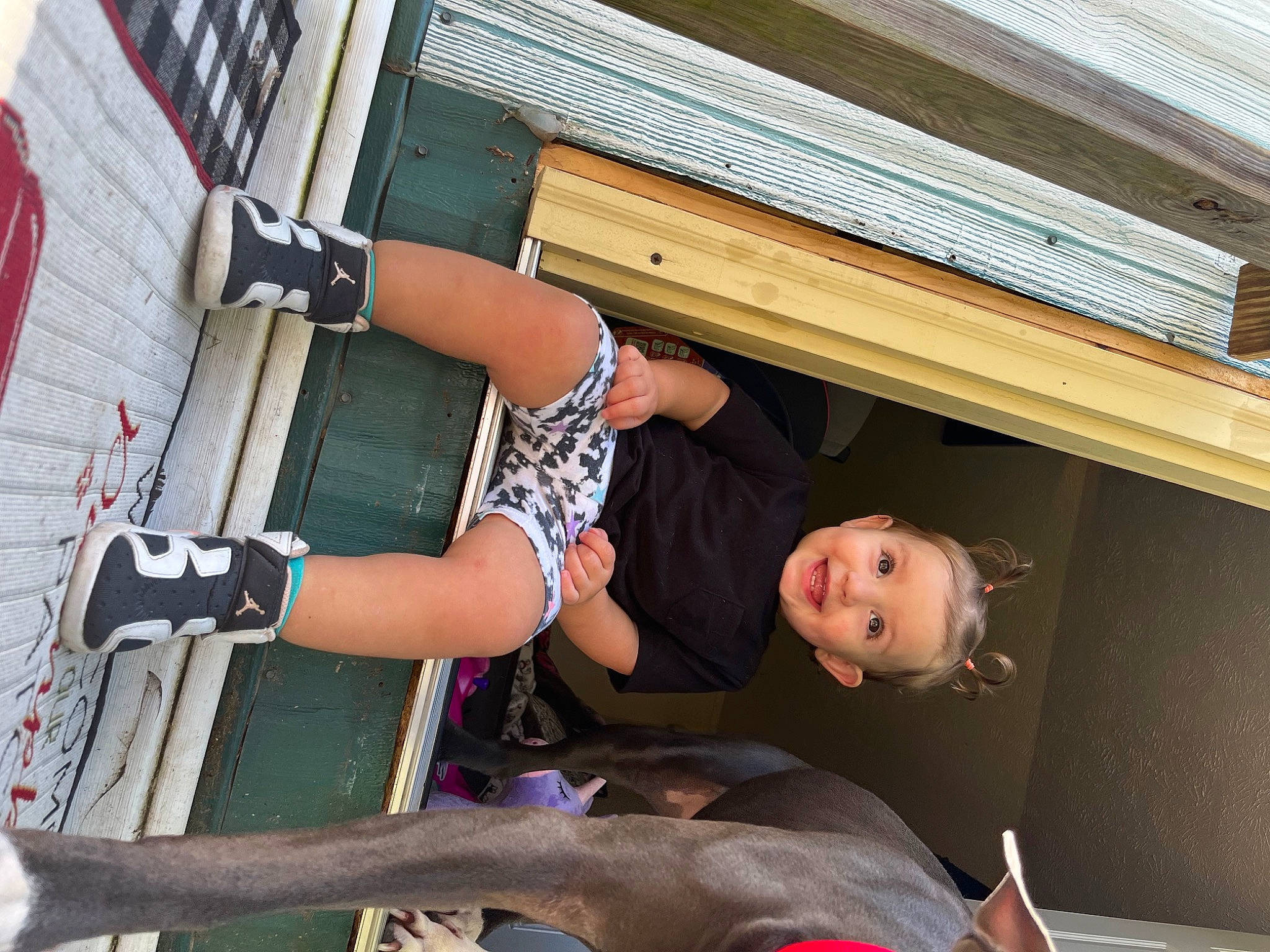 Ava joined the competition — help win amazing prizes! adventure, automotive_exterior, elbow, fun, human_leg, joy, knee, leisure, person, recreation, shorts, sitting, snapshot, t_shirt, thigh, wood